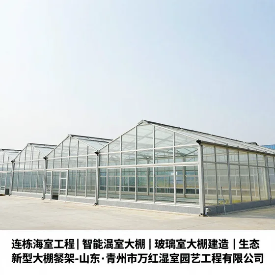 该品牌
